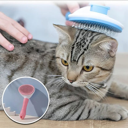 Brosse chat | PurFection - univers des chats