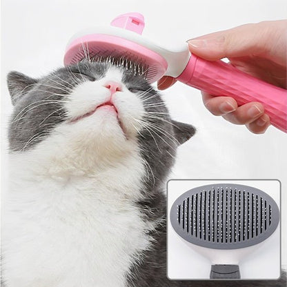 Brosse chat | PurFection - univers des chats