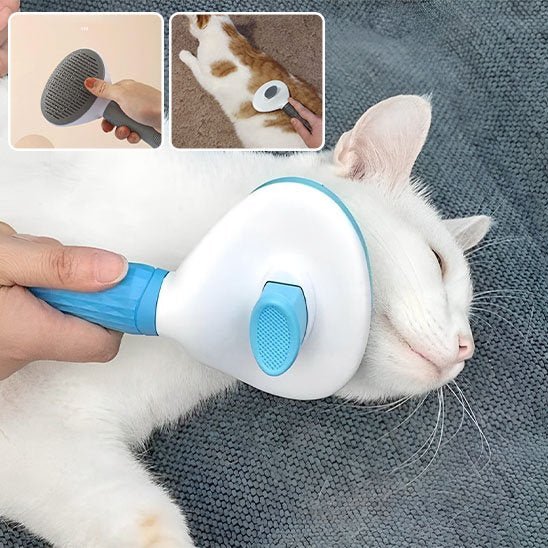Brosse chat | PurFection - univers des chats