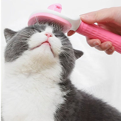 Brosse chat | PurFection - univers des chats