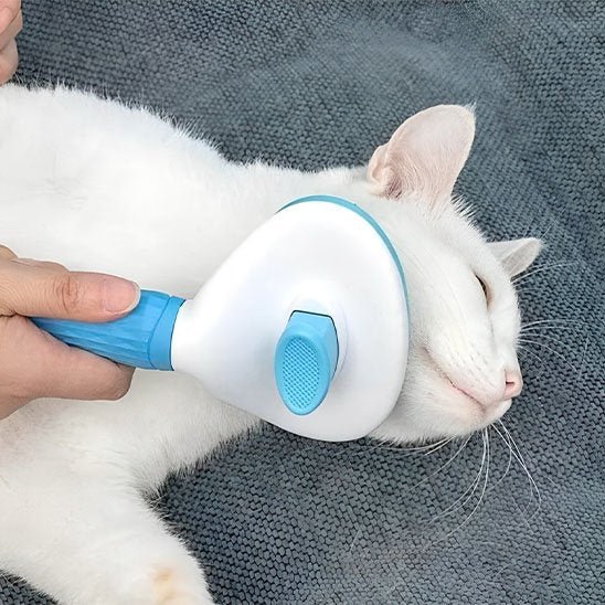 Brosse chat | PurFection - univers des chats