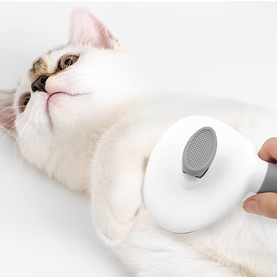 Brosse chat | PurFection - univers des chats