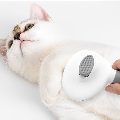 Brosse chat | PurFection - univers des chats