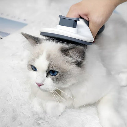 Brosse chat | PurFection - univers des chats