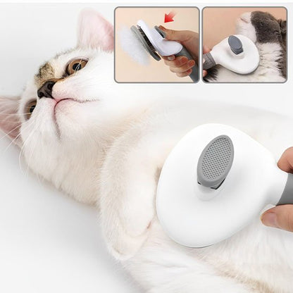 Brosse chat | PurFection - univers des chats