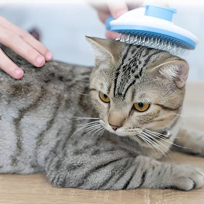 Brosse chat | PurFection - univers des chats