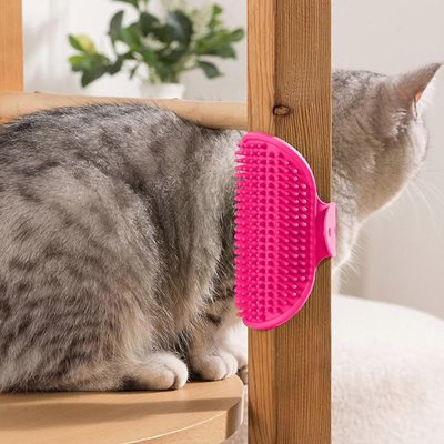 Brosse pour chat