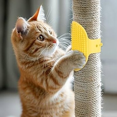 Brosse pour chat