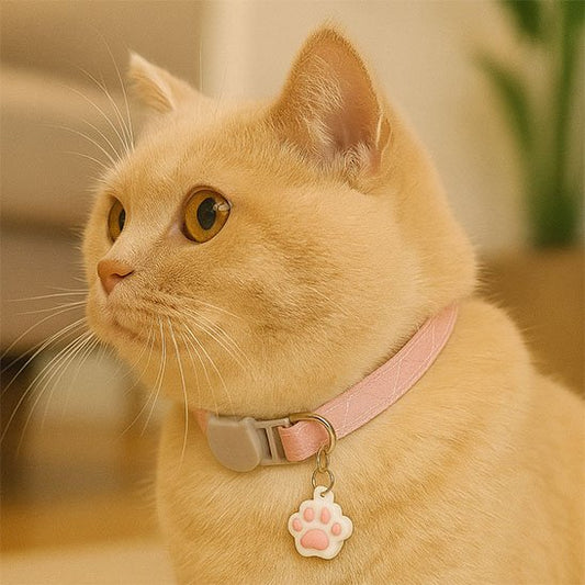 Collier chat