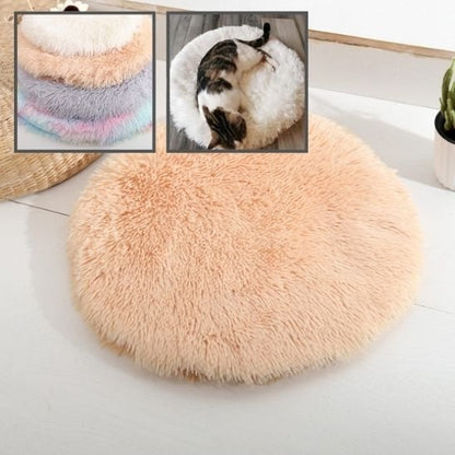 Coussin chat | Ultra - moelleux - univers des chats