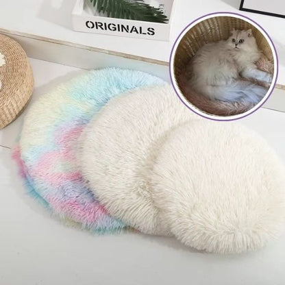 Coussin chat | Ultra - moelleux - univers des chats