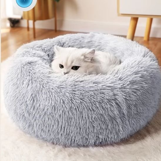 Coussin Chat | Premium Confort - univers des chats