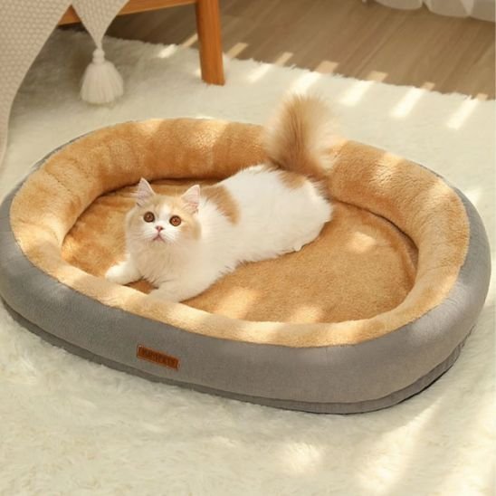 Coussin Chat | Ultra - Moelleux - univers des chats