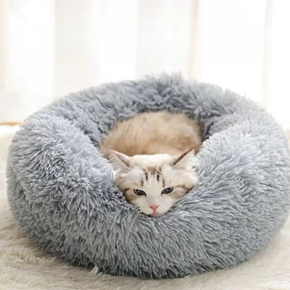 Coussin Chat | Premium Confort - univers des chats