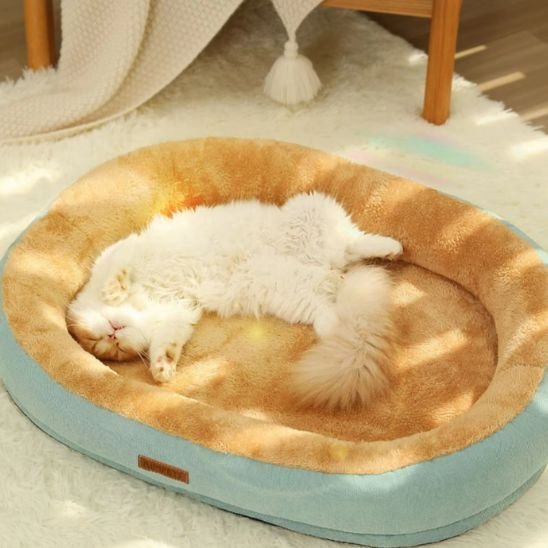 Coussin Chat | Ultra - Moelleux - univers des chats