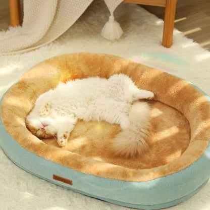 Coussin Chat | Ultra - Moelleux - univers des chats