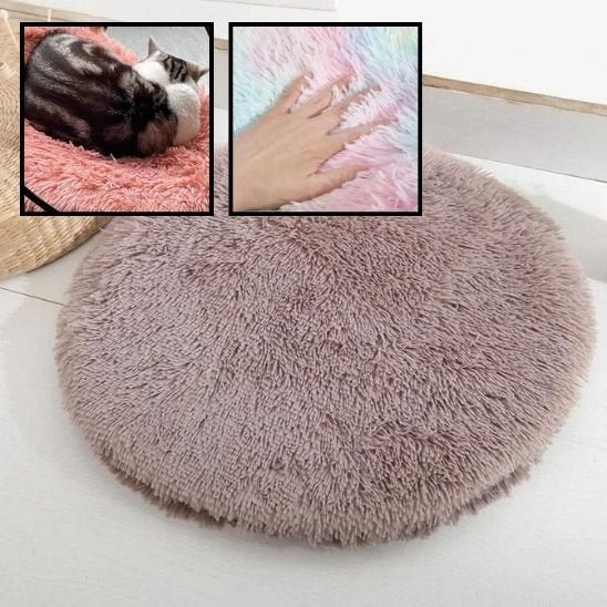 Coussin chat | Ultra - moelleux - univers des chats