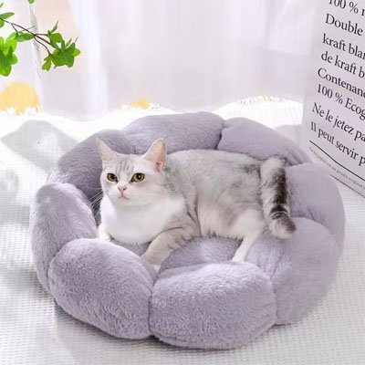 Coussin pour chat | Confort Douillet - univers des chats