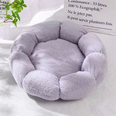 Coussin pour chat | Confort Douillet - univers des chats