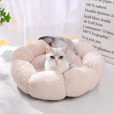 Coussin pour chat | Confort Douillet - univers des chats
