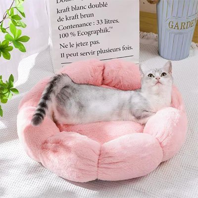 Coussin pour chat | Confort Douillet - univers des chats