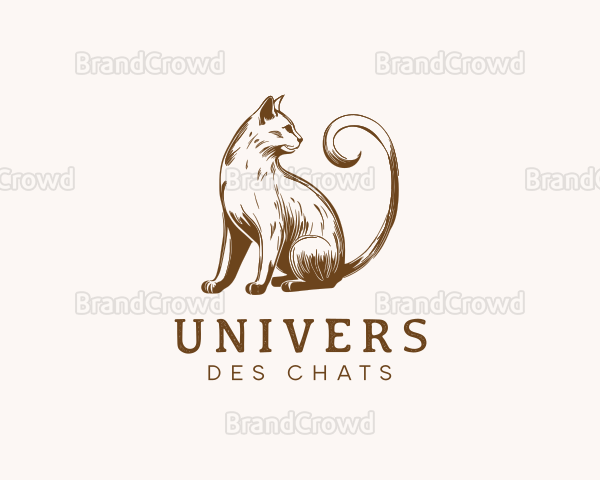 univers des chats