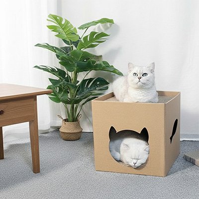 Maison en carton pour chat