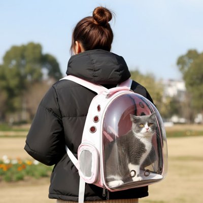 Sac à dos pour Chat