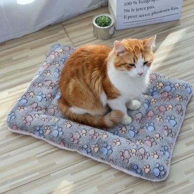 Tapis chat | Confort Antibactérien - univers des chats