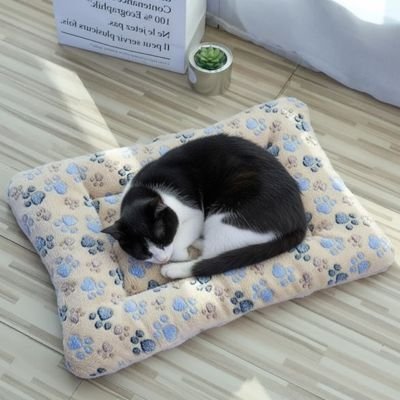 Tapis chat | Confort Antibactérien - univers des chats