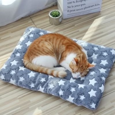 Tapis chat | Confort Antibactérien - univers des chats