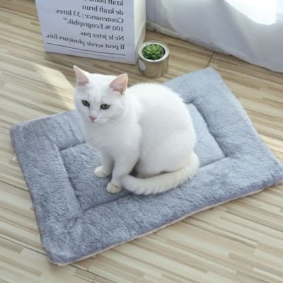 Tapis chat | Confort Antibactérien - univers des chats