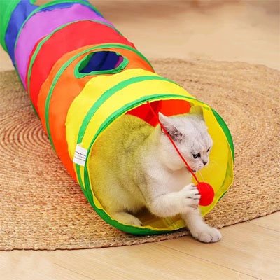Tunnel pour chat